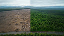 Our environmental impact